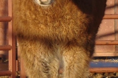 baby front 1 1-29-11
