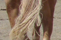bo rear 5-27-12
