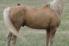 butch rt alert looking away 5-28-11