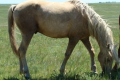 butch rt eating 6-28-09