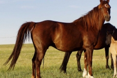 Cee rt 2005