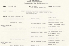 Cee's pedigree