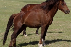 cee rt staning on hillside 53108