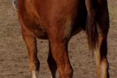 cherry left rear sept 2005