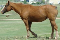 cherry left stepping 6-20-10