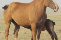 cherry rt frontish 7-4-12