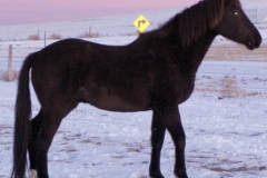 cola 112507 rt side dark