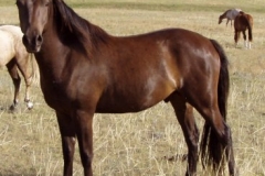 cola left posing 72107