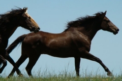 cola rt running 6-28-09