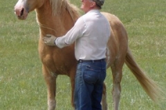 daisy and don in 480 acres 6-28-09