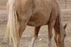 daisy right rear eating 406