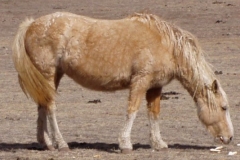 daisy rt eating 3607