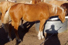 dew rt at water 92908