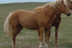 dew rt frontish 5-28-11