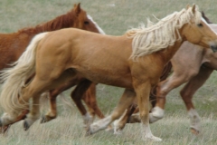 dew rt running 5-22-10