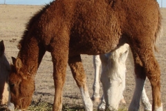 duke left eating 12-1-13