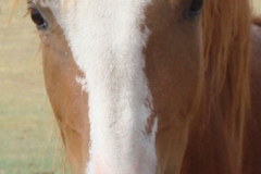 flash face closeup 7-14-13