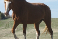 flash frnt leftish stepping 5-25-10