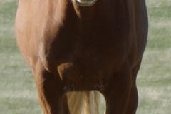 flash front 5-+25-10