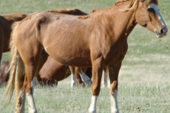 flash rt frontish 5-25-10