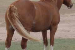 flash rt rear 5-19-12