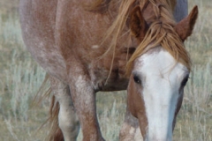 fron front walking in head down 9-10-11