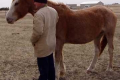 fron lft with don scratching 406