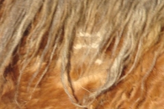 grits brand 1 cropped 1-29-11