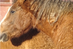 grits brand 2 1-29-11