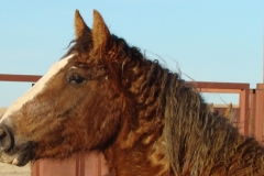 grits rt head and neck with fish lips 1-29-11