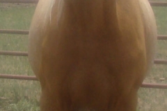 bop front 6-16-12