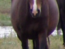 ruby front 90907