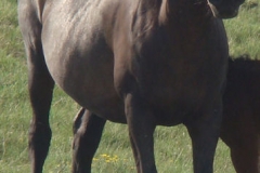 haley front rtish 7-14-12