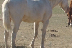 lilly rear rt 6-28-13