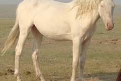 lilly rt frontish 7-4-12