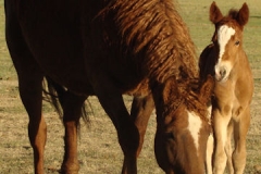 mia and cooper day one 5-12-12