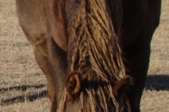 mia front eating 12-1-13