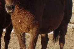 mia frontlefiths 1-29-12