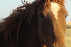 mia head and neck rt 5-12-12