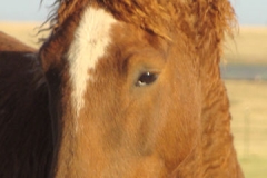 mia head left looking rt curls up 5-12-+12