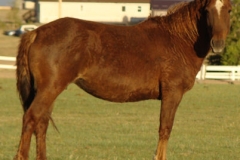 mia rt posed 54-12-12