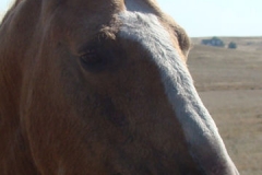 mine face closeup rtish 9-20-14