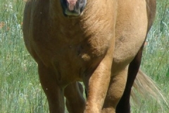 mine front walking in 6-28-09