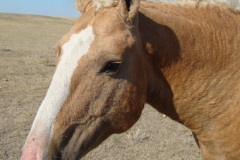 mine head andneck rt 9-24-14