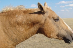 mine profile rt 9-20-14