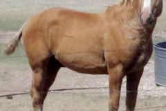 mine rt pretty blurred 5-29-12