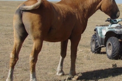 mine rt rearish 9-20-14