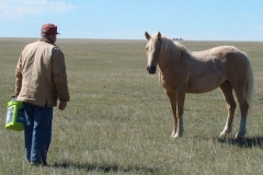 pal and don left 5-16-15