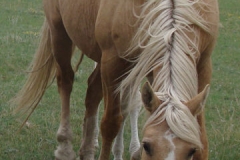 pal front eating 7-21-12