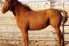 bp left alert 4-10-09